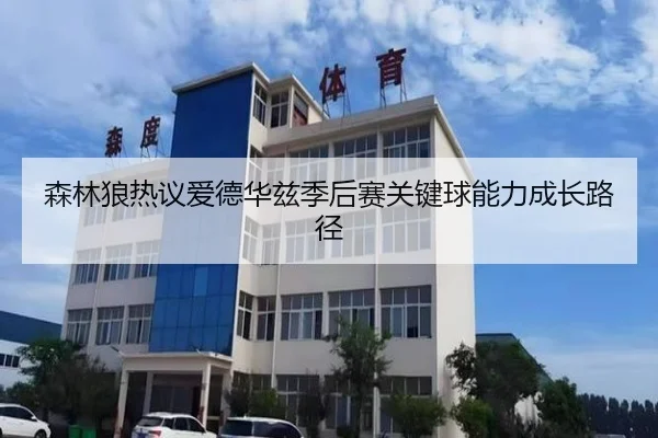 森林狼热议爱德华兹季后赛关键球能力成长路径